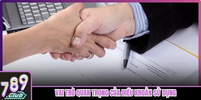 Vai trò quan trọng của điều khoản sử dụng của web 789club-Ceo